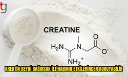 Fare Deneylerinde Kreatin Hipokampusu Korudu