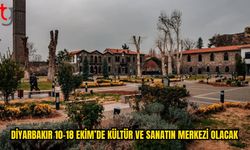 Diyarbakır 9 Gün Boyunca Kültür ve Sanatla Buluşacak