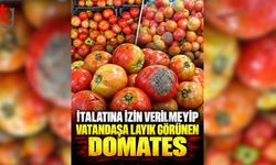 Domates Cep Yakıyor, Kalitesi Sorgulanıyor