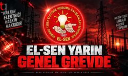 Elektrik Çalışanları Bir Günlük Genel Grev Yapacak