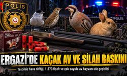 Tescilsiz Hava Tüfeği ve Çok Sayıda Fişek Bulundu
