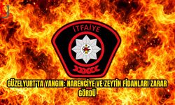 Güzelyurt’ta Dere Yatağında Yangın: Fidanlar Zarar Gördü