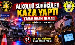 BİRİ AĞACA, DİĞERİ PARK HALİNDEKİ ARACA ÇARPTI