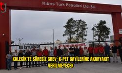 Dev-İş: Uzlaşma Olmazsa Grev Sürecek