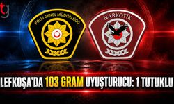 Narkotik Operasyonunda 1 Tutuklu