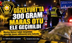 ÜLKEYE İTHALİ YASAK MARAŞ OTUNA PARA CEZASI