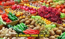 YERLİ VE İTHAL ÜRÜNLER DENETİMDEN GEÇTİ