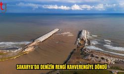 Sağanak Karadeniz Kıyılarını Kahverengiye Boyadı