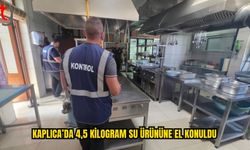 Restoranlarda Gıda Güvenliği ve Balık Denetimi
