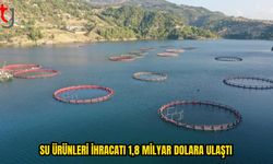 Su Ürünleri Sektöründen Güçlü İhracat