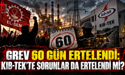 GREV 60 GÜN ERTELENDİ: KIB-TEK’TE SORUNLAR DA ERTELENDİ Mİ?