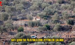 Filistinli Çiftçilerin Zeytinleri Hedef Oldu