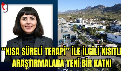 “Kısa Süreli  Terapi” ile ilgili kısıtlı araştırmalara yeni bir katkı
