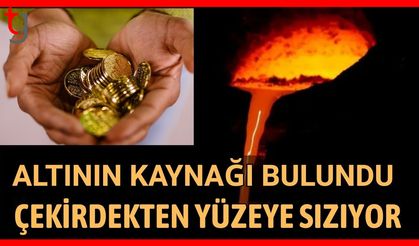 Altının kaynağı bulundu: Çekirdekten yüzeye sızıyor