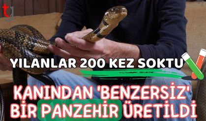 Yılanlar 200 kez soktu: Kanından benzersiz bir panzehir üretildi