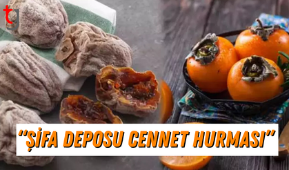 CENNET HURMASININ ŞAŞIRTAN FAYDALARI
