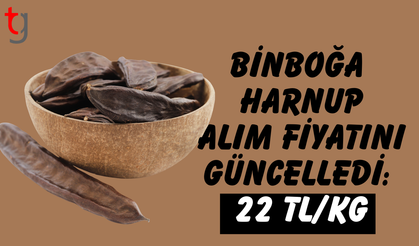 Binboğa harnup alım fiyatını 22 tl olarak açıkladı