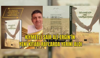 Kıymetli Şair Ali Ergin'in Yeni Kitabı Raflarda Yerini Aldı