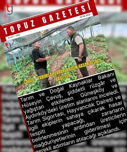 Manşet