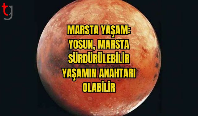 MARSTA YAŞAM: YOSUN, MARSTA SÜRDÜRÜLEBİLİR YAŞAMIN ANAHTARI OLABİLİR