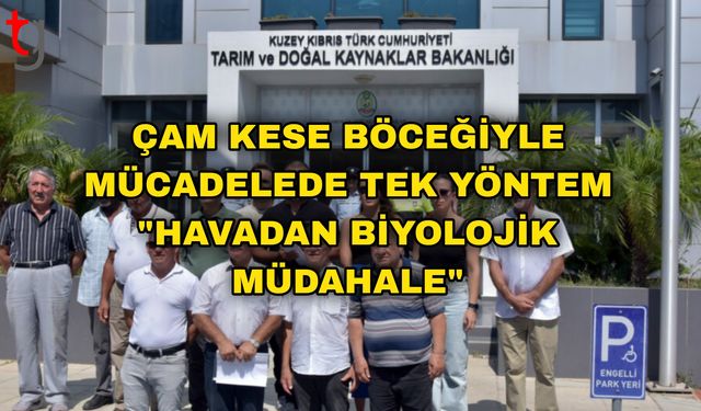 Çam Kese Böceğiyle Mücadelede Tek Yöntem "Havadan Biyolojik Müdahale"