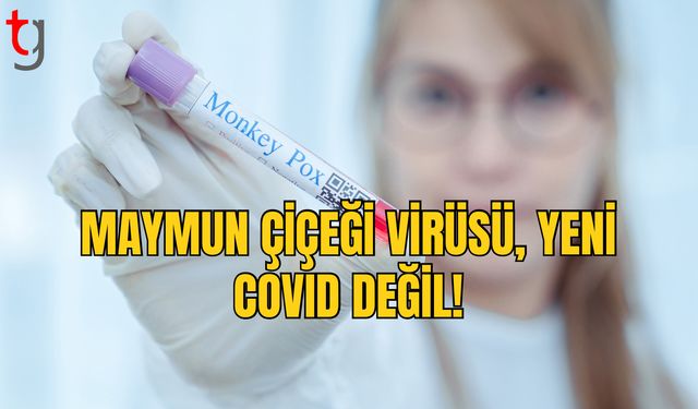 WHO Yetkilisi: “Mpox, Yeni Bir COVID Değil”