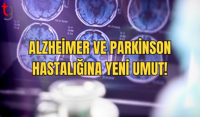 Doğumu Başlatan İlaç, Alzheimer ve Parkinson Tedavisinde Umut Işığı Oldu