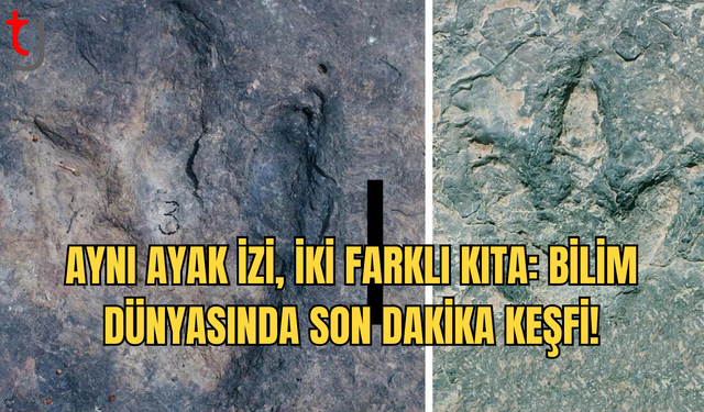 Atlantik’in Her İki Tarafında Eşleşen Dinozor Ayak İzleri Keşfedildi