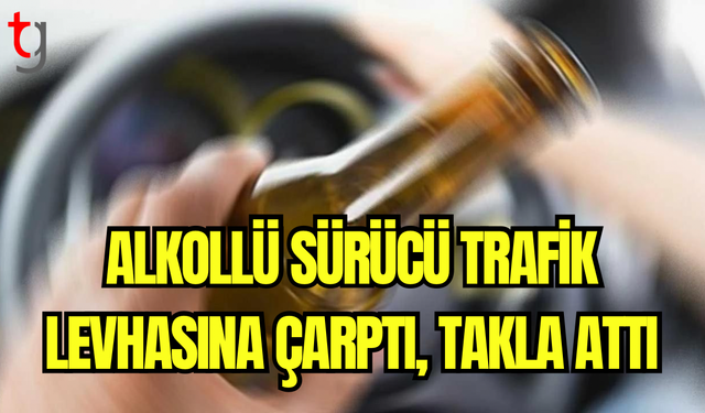 Alkollü Sürücü Trafik Levhasına Çarptı, Takla Attı