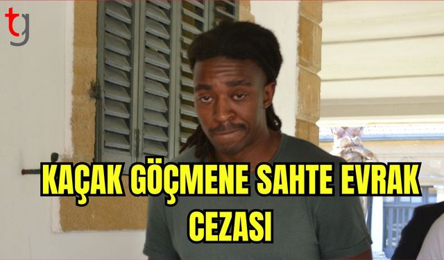 Kaçak Göçmene Sahte Evrak Cezası