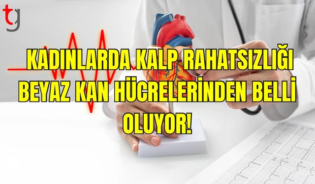 Kadınlarda Kalp Hastalığı Riski Hızla Artıyor: Bilim İnsanları Uyarıyor