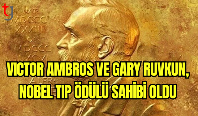 2024 Nobel Tıp Ödülü, MikroRNA Keşfine Verildi