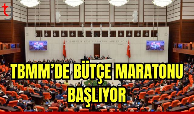 TBMM'de bütçe maratonu başlıyor