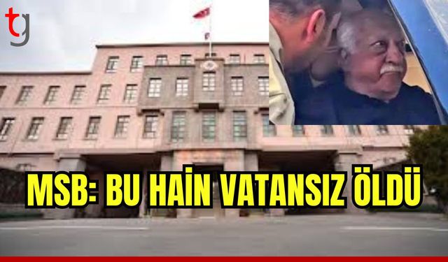 MSB: Bu hain vatansız öldü