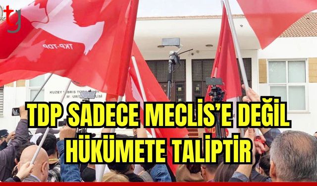 "TDP sadece Meclis'e değil hükümete taliptir"