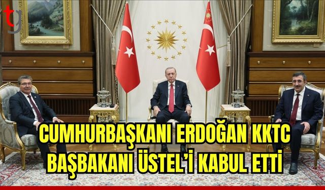 Cumhurbaşkanı Erdoğan, KKTC Başbakanı Üstel'i kabul etti