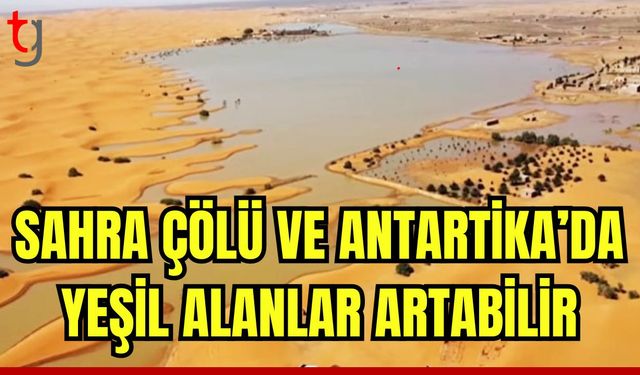 Sahra Çölü ve Antarktika'da yeşil alanlar artabilir