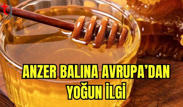 Anzer balına Avrupa'dan yoğun ilgi