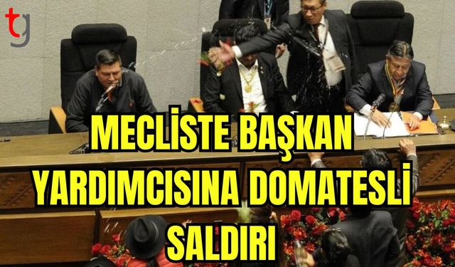 Mecliste başkan yardımcısına domatesli saldırı