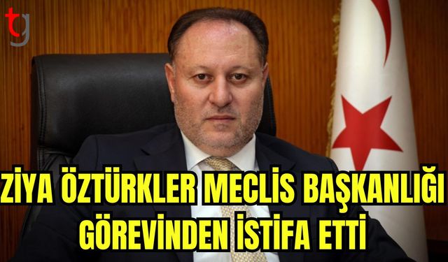 Ziya Öztürkler Meclis Başkanlığı görevinden istifa etti