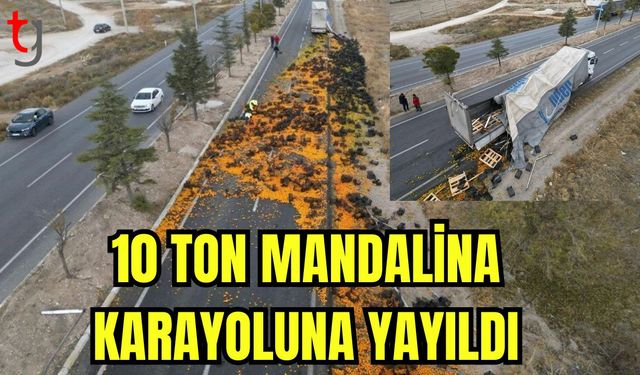 10 ton mandalina karayoluna yayıldı