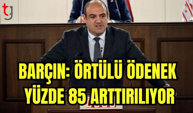 Barçın: Örtülü ödenek yüzde 85 arttırılıyor