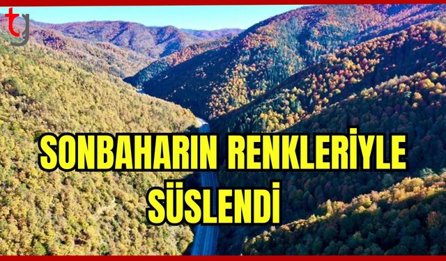 Sonbaharın renkleriyle süslendi