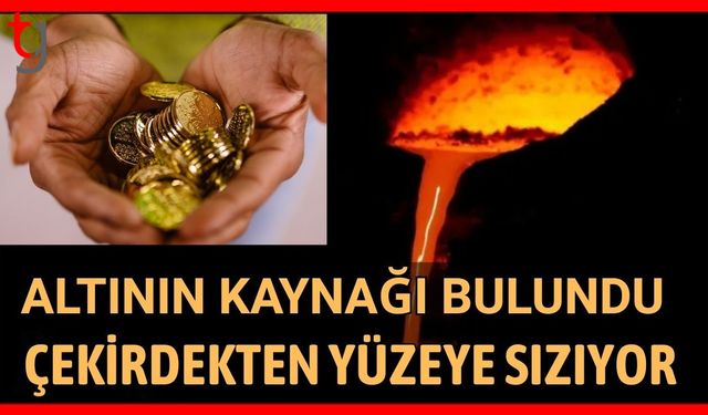 Altının kaynağı bulundu: Çekirdekten yüzeye sızıyor