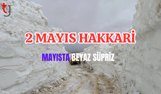 Hakkari Yüksekova'da 3 metrelik karla mücadele