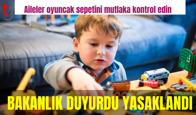 Anne babalar çocuklarının oyuncak sepetine bakın! Bakanlık açıkladı, kanserojen madde içeriyor...