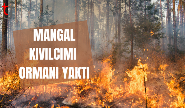 Mersinlik Göleti yakınlarında yangın