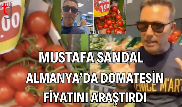 Mustafa Sandal Almanya'da domatesin fiyatını araştırdı
