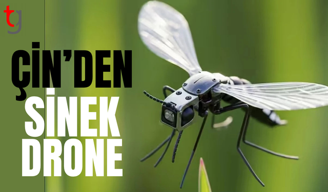 Nano-teknolojide devrim: Çin ordusu