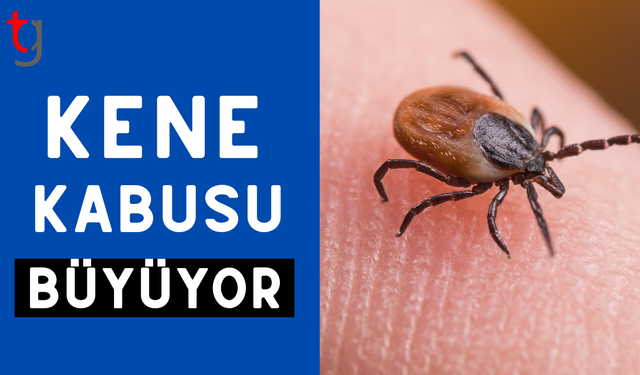 Kene kabusu büyüyor